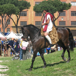 2011_natale_di_roma_12