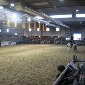 2011_verona_fiera_cavalli_19