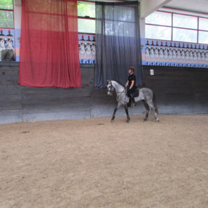 2013_stage_rodrigues_10