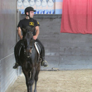 2013_stage_rodrigues_13