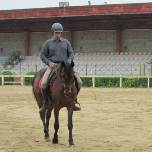 2013_stage_rodrigues_14