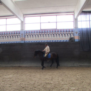 2013_stage_rodrigues_16