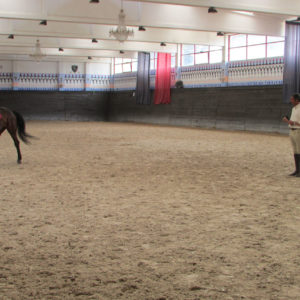 2013_stage_rodrigues_17