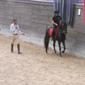 2013_stage_rodrigues_27