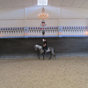 2013_stage_rodrigues_30