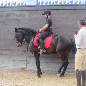 2013_stage_rodrigues_9