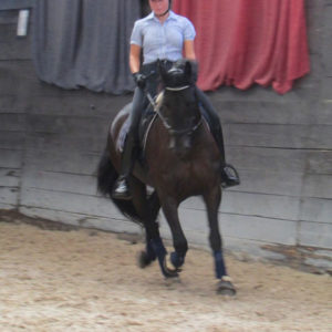 2013_stage_kottas_4
