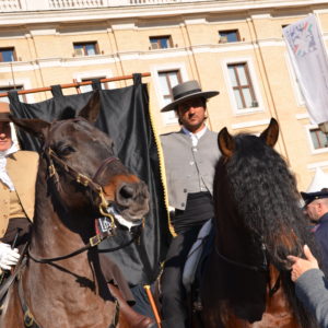 2014_s_antonio_11