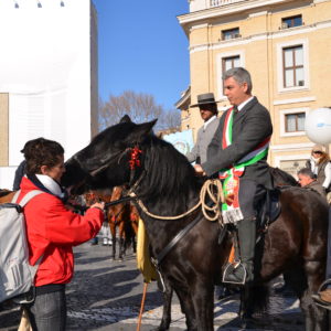 2014_s_antonio_3