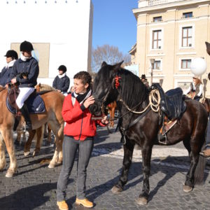 2014_s_antonio_4