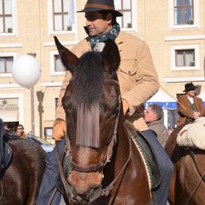 2014_s_antonio_5