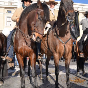 2014_s_antonio_9
