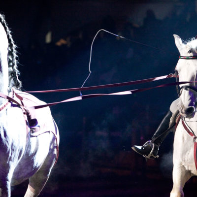 2010_spettacolo_1_i_cavalli_di_roma_13