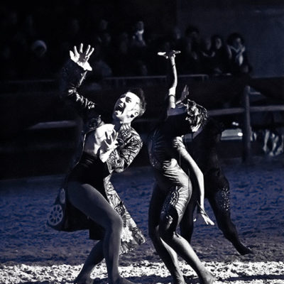 2012_spettacolo_i_cavalli_di_roma_1