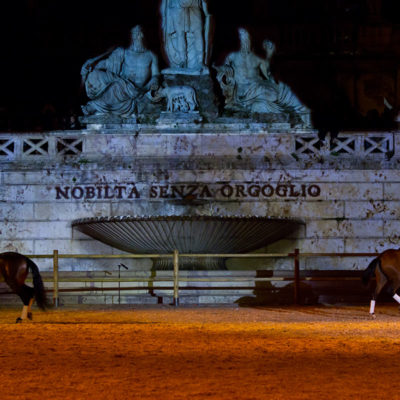 2012_spettacolo_i_cavalli_di_roma_176