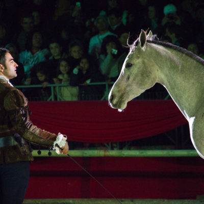 2012_spettacolo_i_cavalli_di_roma_214