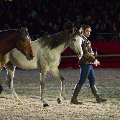 2012_spettacolo_i_cavalli_di_roma_216