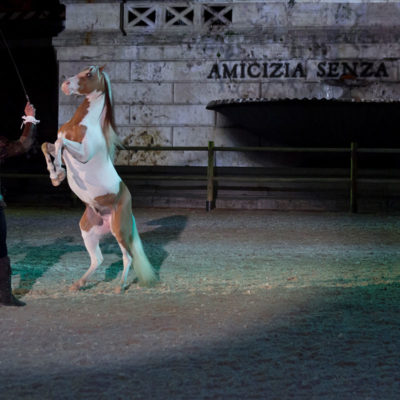 2012_spettacolo_i_cavalli_di_roma_40