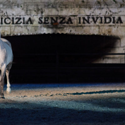 2012_spettacolo_i_cavalli_di_roma_75