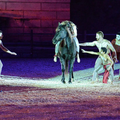 2013_spettacolo_i_cavalli_di_roma_125
