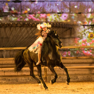 2013_spettacolo_i_cavalli_di_roma_148