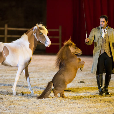 2013_spettacolo_i_cavalli_di_roma_211