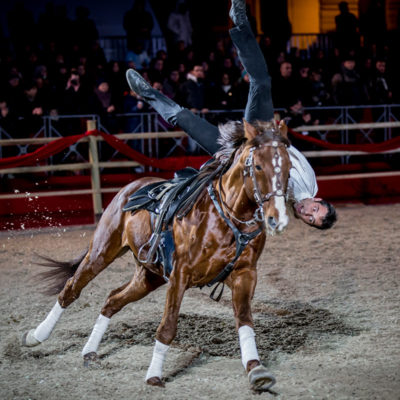 2013_spettacolo_i_cavalli_di_roma_257