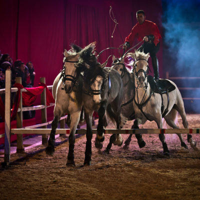 2013_spettacolo_i_cavalli_di_roma_86