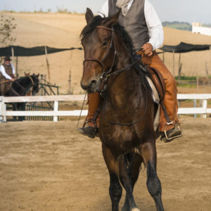 2019_10_20 Memorial Mauro Perni 12. Franco Giani_DSC8532