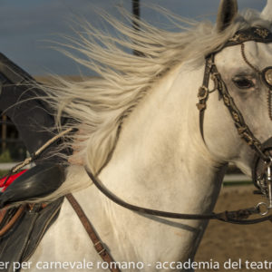 2019_10_20 Memorial Mauro Perni 15. Edoardo Boldrini & Saverio Razzano_DSC8793