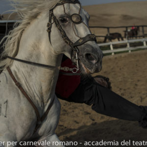 2019_10_20 Memorial Mauro Perni 15. Edoardo Boldrini & Saverio Razzano_DSC8892