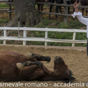2019_10_20 Memorial Mauro Perni 3. Filippo Nassi_DSC7606