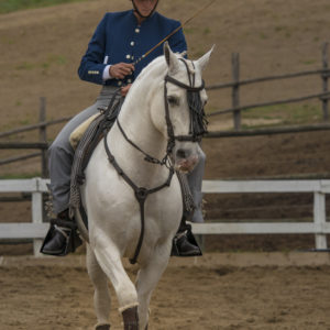 2019_10_20 Memorial Mauro Perni 5. Mario De Carolis_DSC7700