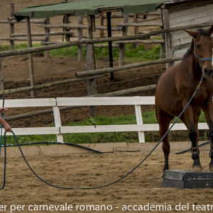 2019_10_20 Memorial Mauro Perni 7. La Scuola di Franco Giani_DSC7968