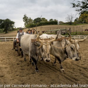 2019_10_20 Memorial Mauro Perni 9. Riccardo Sgamma e Silvia Caravaglia (Allumiere)_DSC7373