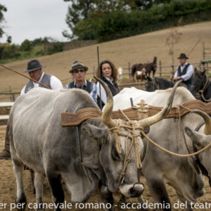 2019_10_20 Memorial Mauro Perni 9. Riccardo Sgamma e Silvia Caravaglia (Allumiere)_DSC8046