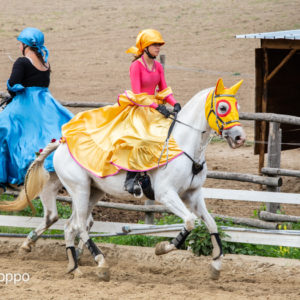 I MEMORIAL  MAURO PERNI 2019