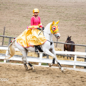 I MEMORIAL  MAURO PERNI 2019