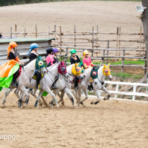 I MEMORIAL  MAURO PERNI 2019