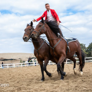 I MEMORIAL  MAURO PERNI 2019