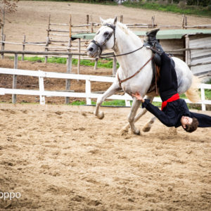 I MEMORIAL  MAURO PERNI 2019