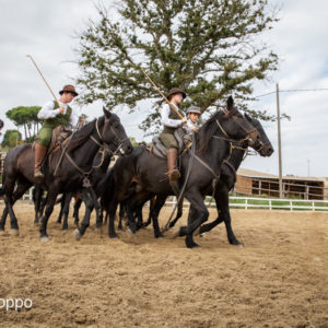 I MEMORIAL  MAURO PERNI 2019