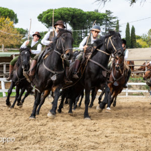 I MEMORIAL  MAURO PERNI 2019