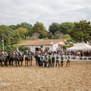 I MEMORIAL  MAURO PERNI 2019