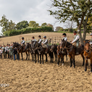 I MEMORIAL  MAURO PERNI 2019