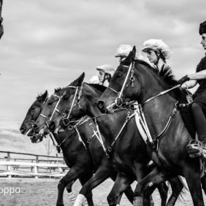 I MEMORIAL  MAURO PERNI 2019