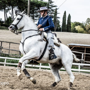 I MEMORIAL  MAURO PERNI 2019