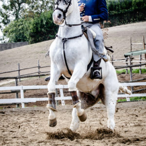 I MEMORIAL  MAURO PERNI 2019