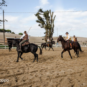 I MEMORIAL  MAURO PERNI 2019