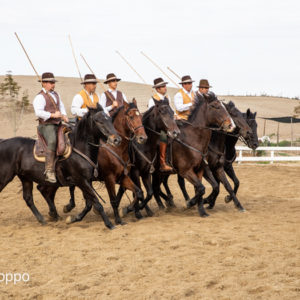 I MEMORIAL  MAURO PERNI 2019